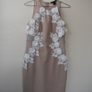 🌸3x$25🌸 F21 dress
